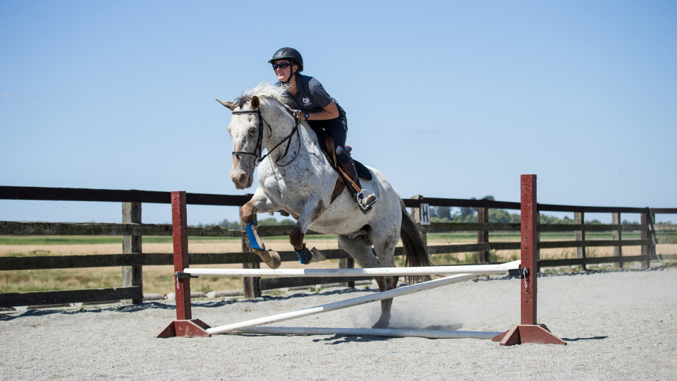 Horsemanship at Warm Beach Camp & Conference Center: Pony Club