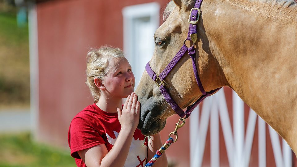 Therapeutic horsemanship at Warm Beach Camp and Conference Center, Stanwood, WA; near Seattle.
